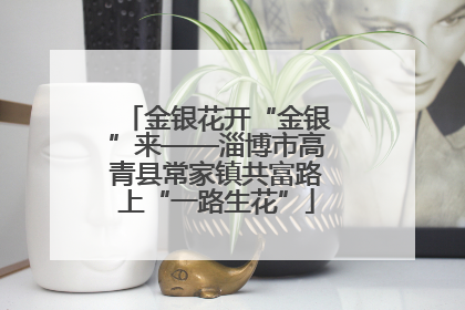 金银花开“金银”来——淄博市高青县常家镇共富路上“一路生花”